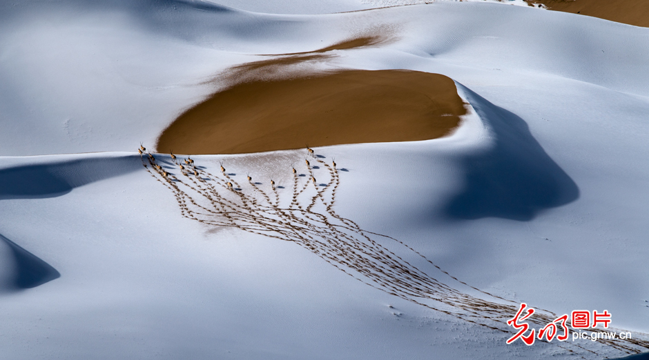 三江源國家公園正式設立，這是青海生態文明建設的新答卷