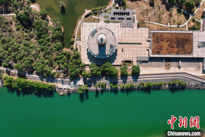 航拍青海貴德黃河岸畔綠意濃濃?！≮w凜松 攝