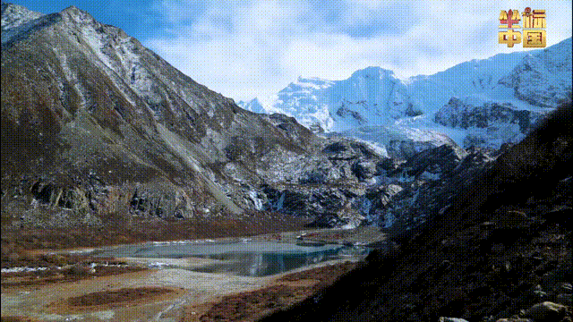 坐標中國 | 世界最高光伏電站賦能綠色發展